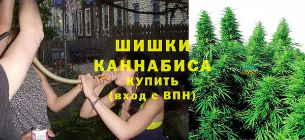 мдма Бородино