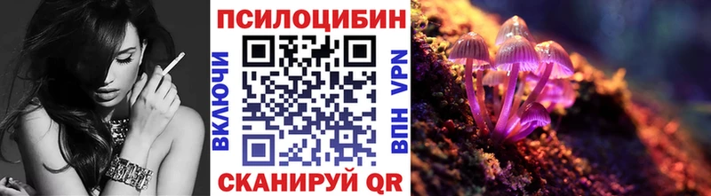 Купить  Поворино  Галлюциногенные грибы MAGIC MUSHROOMS 
